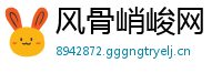风骨峭峻网